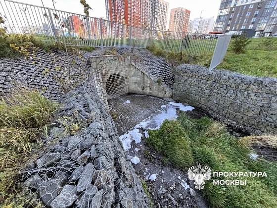 Межрайонная природоохранная прокуратура г. Москвы  организовала проверку информации о возможном загрязнении водного объекта – реки Десна